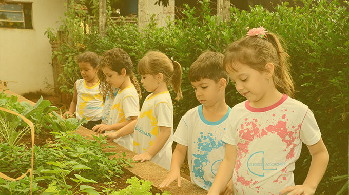 EDUCAÇÃO INFANTIL